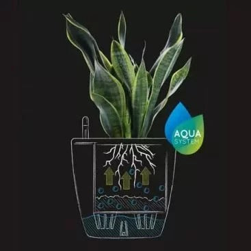 Watering System