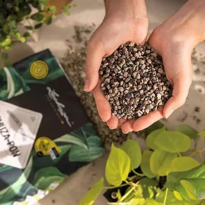 Instruction for proper repotting