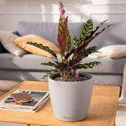 CLASSICO Color LS 43 Slate, Self-Watering Round Planter, D43 H39 cm, 28L