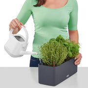 Self-Watering Window Box (Railing Planter), H14 L40 W14 cm