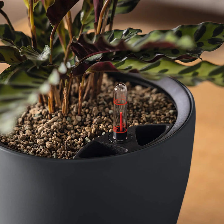 CLASSICO Color LS 43 Slate, Self-Watering Round Planter, D43 H39 cm, 28L