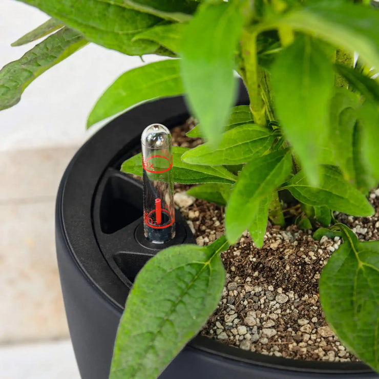 CLASSICO Color LS 43 Slate, Self-Watering Round Planter, D43 H39 cm, 28L