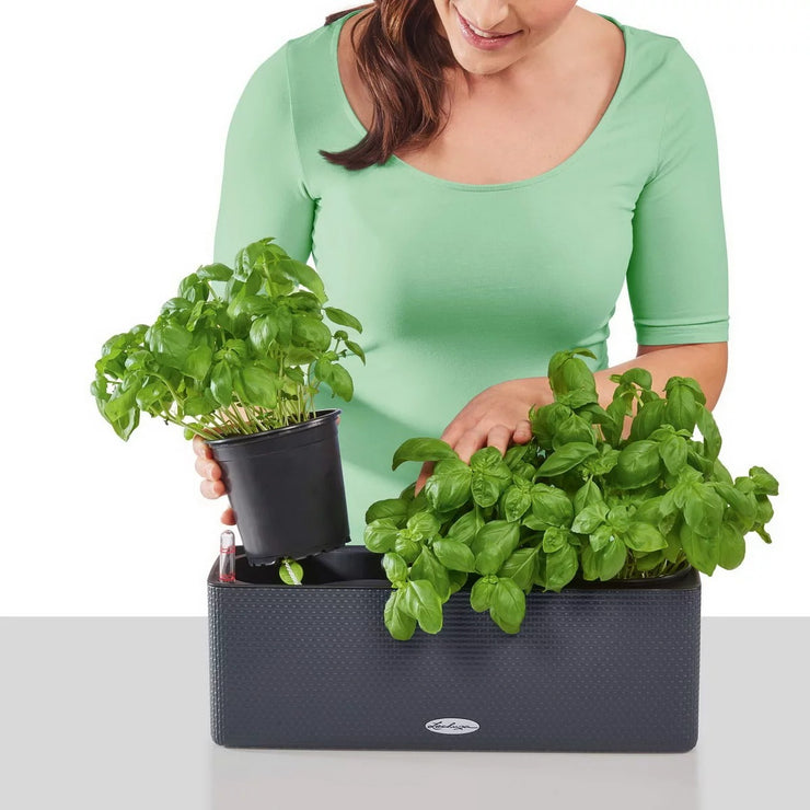 Self-Watering Window Box (Railing Planter), H14 L40 W14 cm