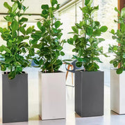 CANTO Slatestone High 40 Light Grey, Self-Watering Tall Planter, H76 L40 W40 cm, 29L