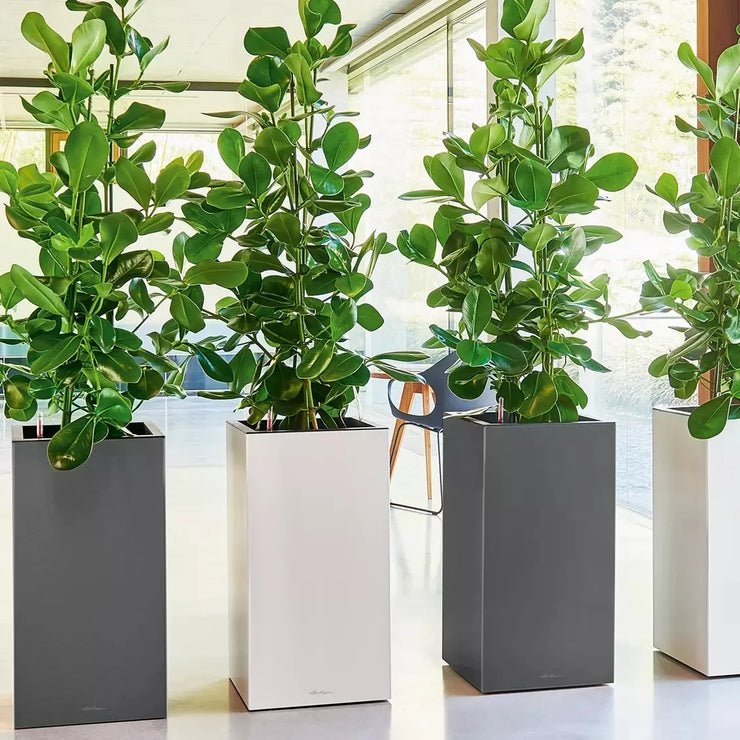 CANTO Slatestone High 40 Light Grey, Self-Watering Tall Planter, H76 L40 W40 cm, 29L