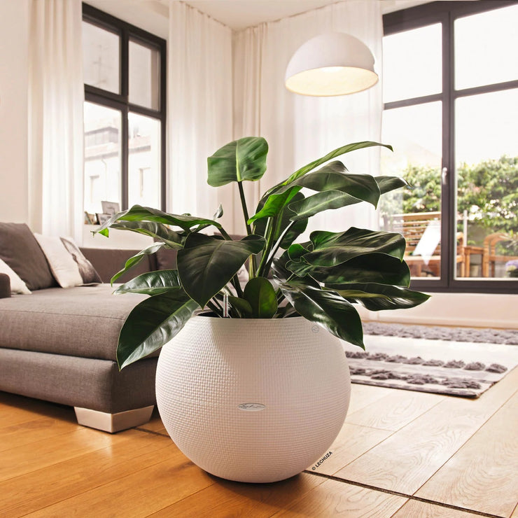 PURO Color 50 White, Self-Watering Large Round Planter, D50 H39 cm, 13L