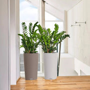 CILINDRO Cottage 23 Granite, Self-Watering Tall Planter, D23 H41 cm, 5.5L