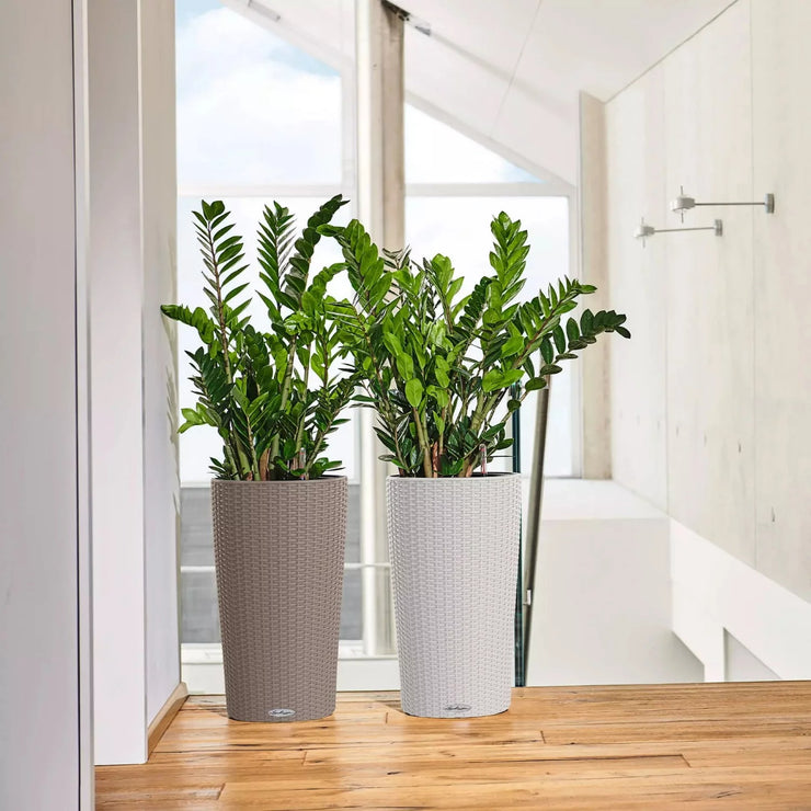 CILINDRO Cottage 23 Granite, Self-Watering Tall Planter, D23 H41 cm, 5.5L